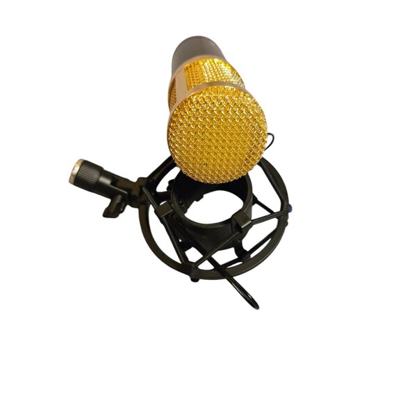 Professional Condenser NW-800 Gold Microphone Shock Mount Pop‎ Filter - Picture 6 of 7